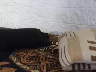 mizziijaie's Live Sex Cam Show