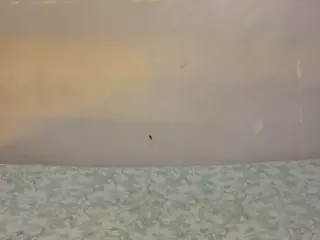 Georgina's Live Sex Cam Show