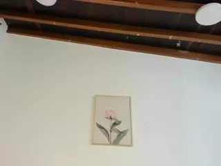 kloewatson's Live Sex Cam Show