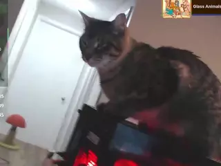squirtingstoner's Live Sex Cam Show