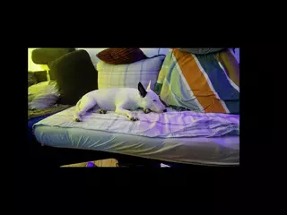 huebscherschwanz's Live Sex Cam Show