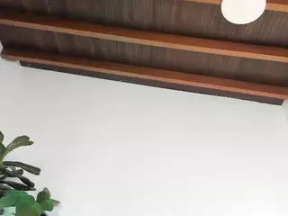 LAVA's Live Sex Cam Show