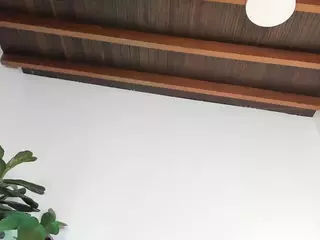 LAVA's Live Sex Cam Show