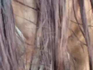 dayannawins's Live Sex Cam Show