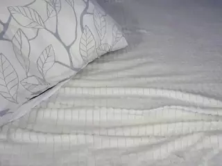 Roxy's Live Sex Cam Show