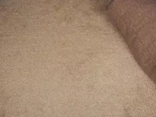 Daryl's Live Sex Cam Show