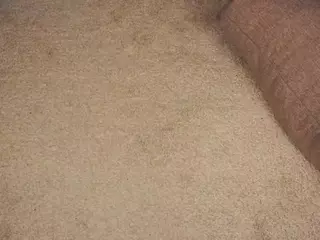 Daryl's Live Sex Cam Show