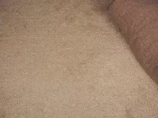 Daryl's Live Sex Cam Show