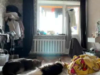 AlbertaCovert's Live Sex Cam Show