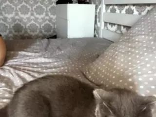 AlbertaCovert's Live Sex Cam Show