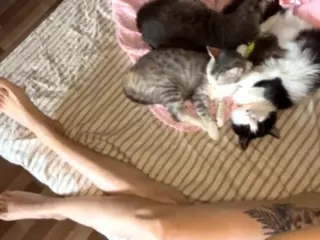 AlbertaCovert's Live Sex Cam Show