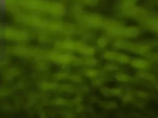 Catalina Jonex's Live Sex Cam Show