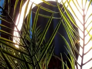Linda's Live Sex Cam Show