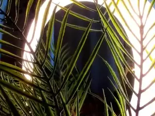 Linda's Live Sex Cam Show