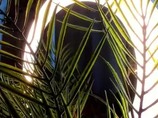 Linda's Live Sex Cam Show