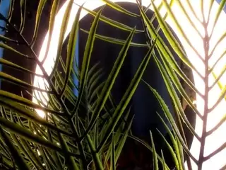 Linda's Live Sex Cam Show
