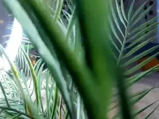 Linda's Live Sex Cam Show
