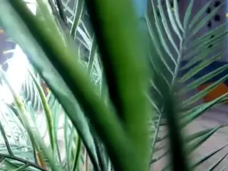 Linda's Live Sex Cam Show