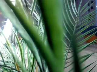 Linda's Live Sex Cam Show