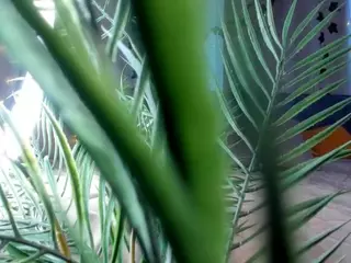 Linda's Live Sex Cam Show
