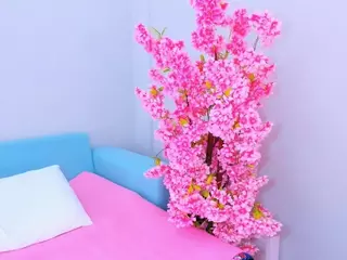 miss-korea's Live Sex Cam Show