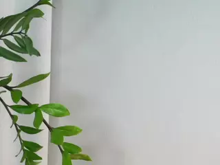 AntoniaHey's Live Sex Cam Show