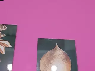 kinkyandsavage's Live Sex Cam Show
