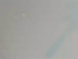 JESSY-CORTES's Live Sex Cam Show