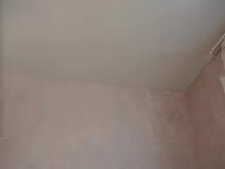 ElviaDunkum's Live Sex Cam Show