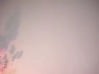 ElwynaHeckler's Live Sex Cam Show
