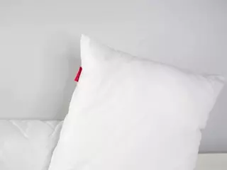 ElwynaHeckler's Live Sex Cam Show