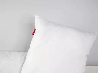 ElwynaHeckler's Live Sex Cam Show