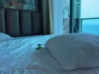 Caroline's Live Sex Cam Show
