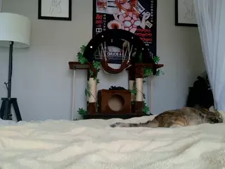 Squeebs's Live Sex Cam Show