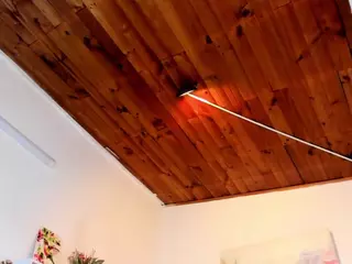 Blear Horny Girl's Live Sex Cam Show