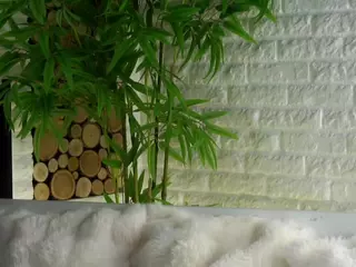 CwenFenney's Live Sex Cam Show