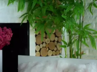 CwenFenney's Live Sex Cam Show