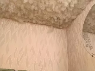 begoniia's Live Sex Cam Show