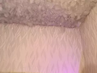 begoniia's Live Sex Cam Show