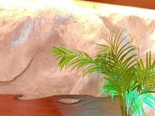 Offline cam show with Alison Moon