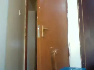 chocobabe002's Live Sex Cam Show