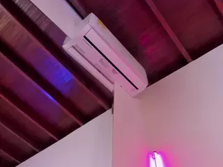 talia russel's Live Sex Cam Show