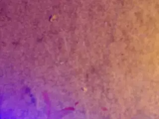 JadeJolson's Live Sex Cam Show