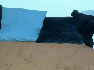 CamillaParis's Live Sex Cam Show