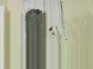 Beautifulmimi's Live Sex Cam Show