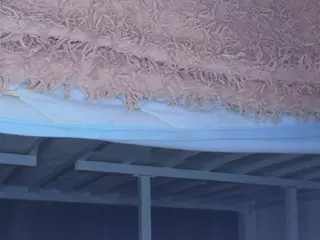 IlonaHolmes's Live Sex Cam Show