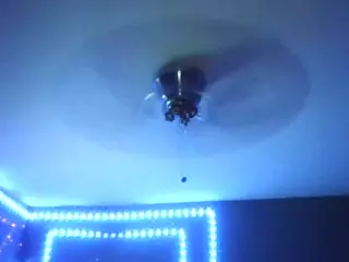 camcouple4u's Live Sex Cam Show