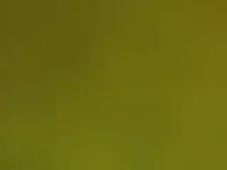 shirlyrojas's Live Sex Cam Show