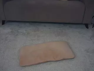 FeliceBellas's Live Sex Cam Show