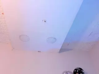Morgan-Wright's Live Sex Cam Show